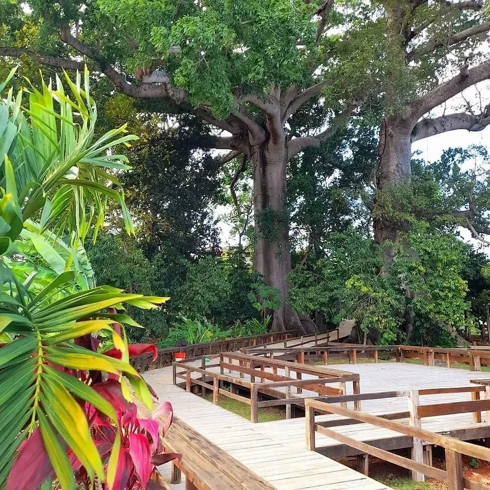 Coral Seas Garden Resort Negril Jamaica